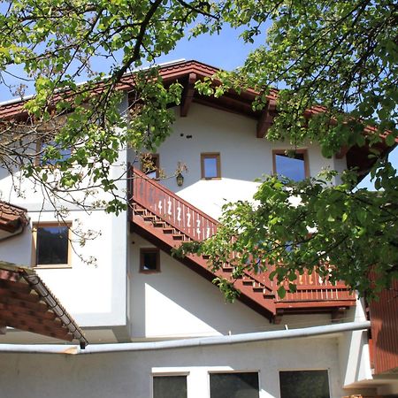 Ferienhaus Islitzer Hollersbach im Pinzgau Eksteriør billede